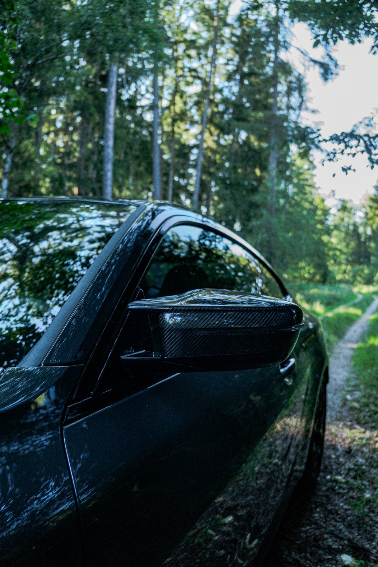 Carbon Mirror