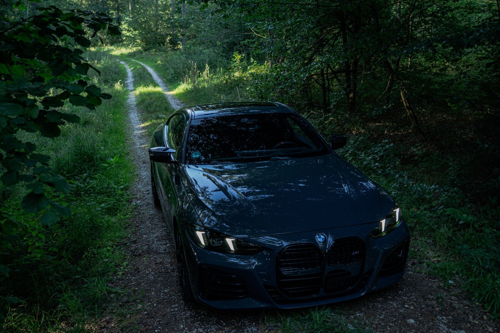 M440i Forest